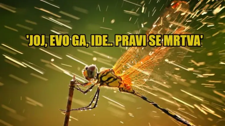 Žene, učite od njih: Ženka vretenca pravi se mrtva ako ne želi da ju 'mu&scaron;ka polovica' gnjavi