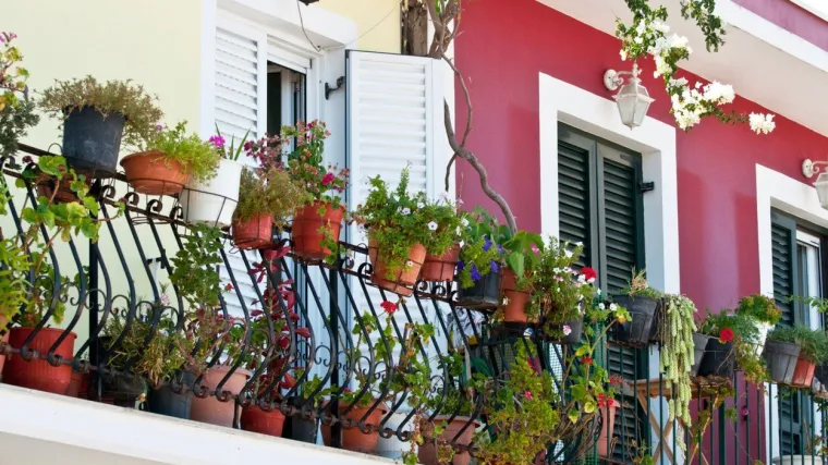Ukrasni grmovi za balkone: biljke koje će uljepšati svaki balkon