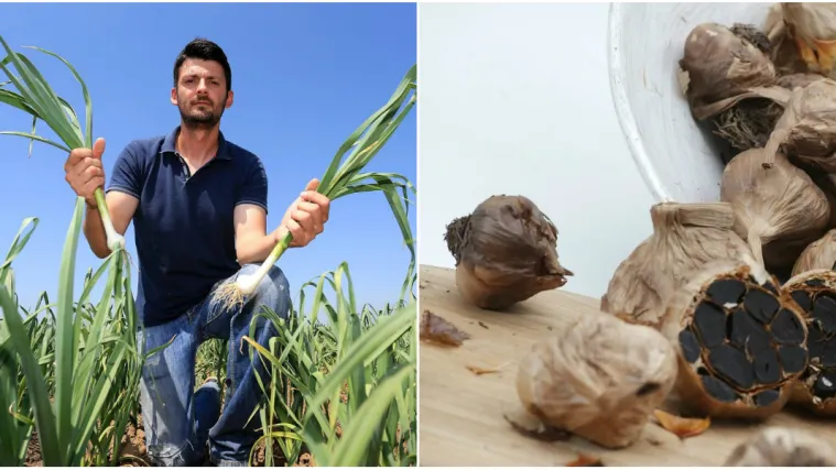 Ekonomist odlučio posvetiti život crnom če&scaron;njaku: 'Shvatio sam da ga moram proizvoditi'