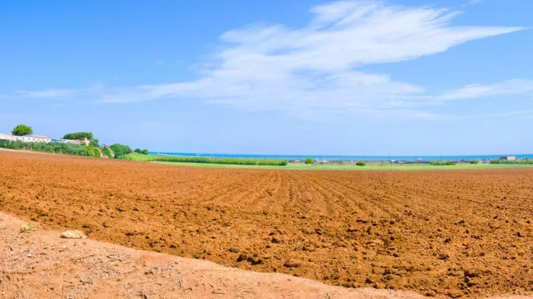 Zemlja crvenica: karakteristična po crvenoj boji i pogodnostima uzgoja