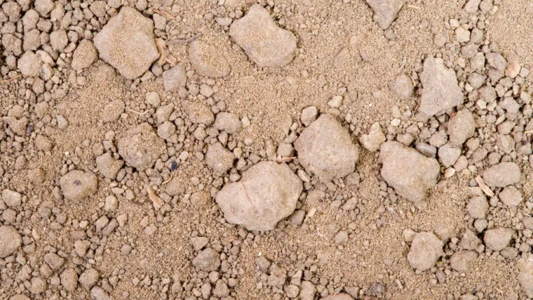 Ilovača tlo: idealno za vrtlarstvo i zemljoradnju