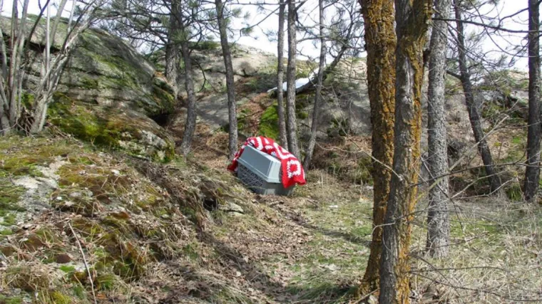 Otvorili su je, pa shvatili kakvu zbilja monstruoznu priču krije