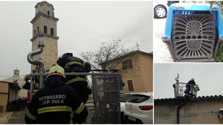 VIDEO Opirala se, grebala, grizla: Dragi vatrogasci strpljivo spa&scaron;avali macu na starom krovu