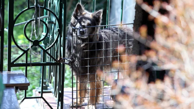 Ozlijeđeni se&nbsp;nalaze na Klinici za traumatologiju