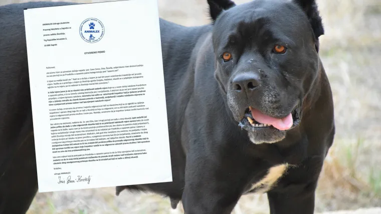 Detalji krvoločnog napada u Zagrebu: Potreseni vlasnici tvrde da im je pas pobjegao