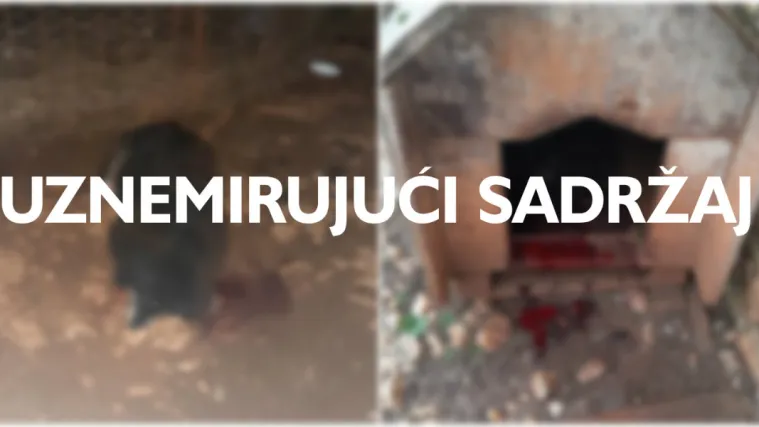 FOTO Živi horor kod &Scaron;ibenika: Kangali zaklali psa i siju strah, a mje&scaron;tani strahuju za svoju djecu