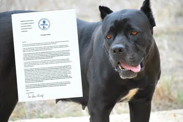 Uputili otvoreno pismo protiv eutanazije psa koji je napao petero ljudi: 'Naš stav je jasan!'