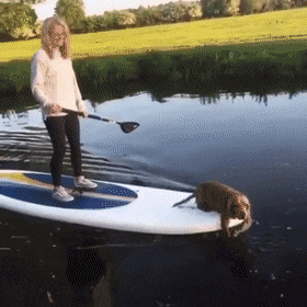 Pogon na sve četiri