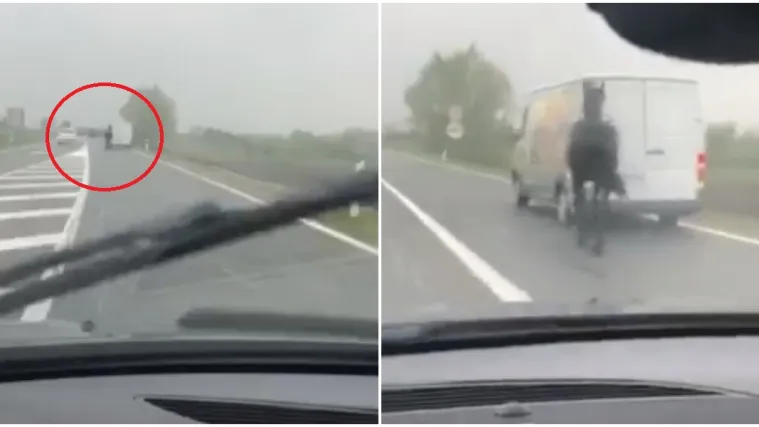 VIDEO '&Scaron;to ne valja s ljudima?!' Scena konja kako privezan za kombi trči autocestom posvađala ljude