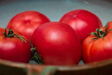 Volovsko srce rajčica - oplemenjena domaća sorta rajčica