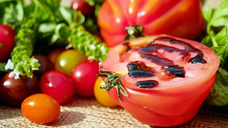 Koje su bolesti rajčice i kako se provodi zaštita rajčice od bolesti