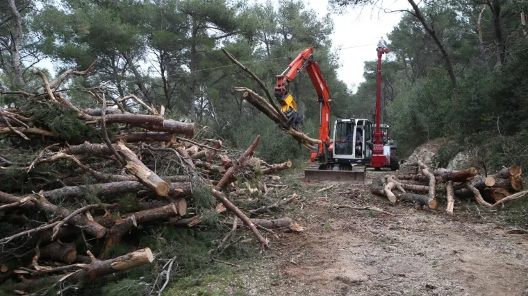 Četiri prijave zbog pusto&scaron;enja Marjana: Dokument dokazuje da su posjekli 1400 stabala koja nisu bila za sječu