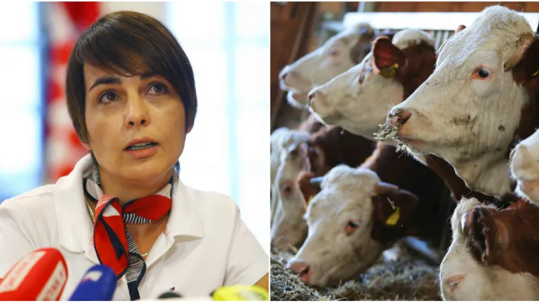 Novi udarac za HDZ! Zadarska vijećnica osumnjičena za prevare te&scaron;ke skoro pola milijuna kuna