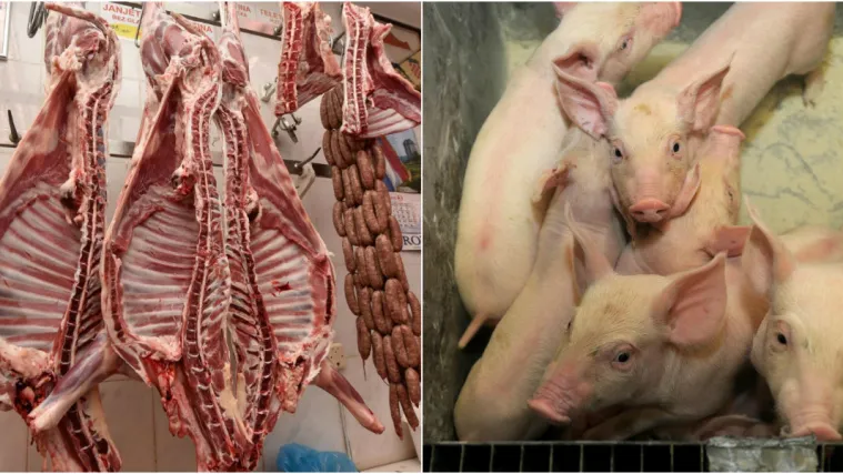 Kilogram svinjetine skuplji do 30 posto, ali pravi udar Hrvate čeka nakon Uskrsa