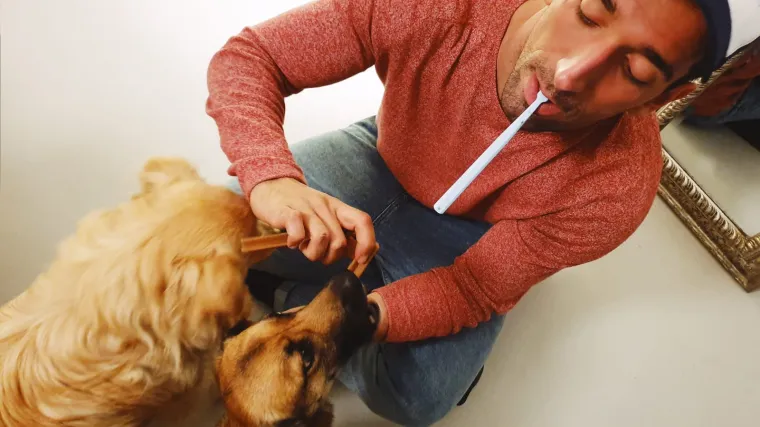 Brinete li o dovoljno o zdravlju zubi va&scaron;ih ljubimca? Slavko Sobin i Franka Batelić  prepoznali su važnost zdravog psećeg osmijeha