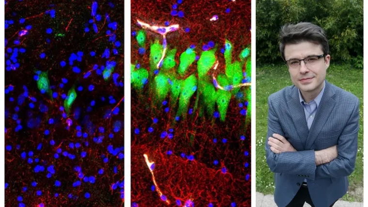 Hrvat koji je oživio mozak mrtve svinje otkrio detalje svog otkrića: Evo &scaron;to o njemu kažu suradnici