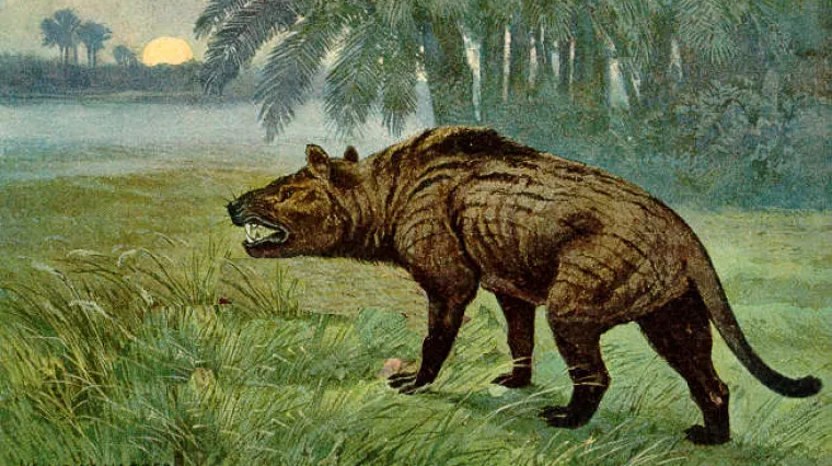 Sad se zna tko je bio pravi vladar kontinenta, bio je na vrhu hranidbenog lanca