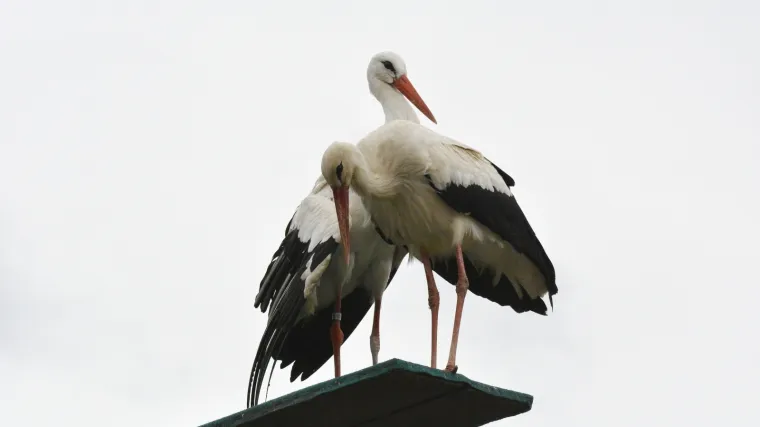 Lijepa ljubavna priča je ipak zavr&scaron;ila?