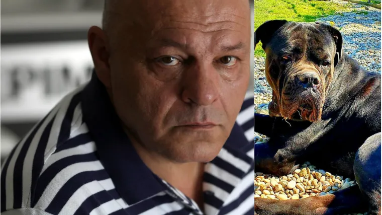 Najavljuje kako će sada nabaviti psa koji se koristio za borbe; 'Otta sam odgojio kao maznu mačku'