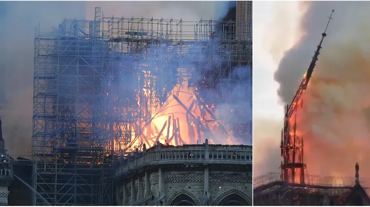 Život u plamenu: Pčele na krovu crkve Notre-Dame preživjele požar