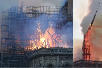 Život u plamenu: Pčele na krovu crkve Notre-Dame preživjele požar