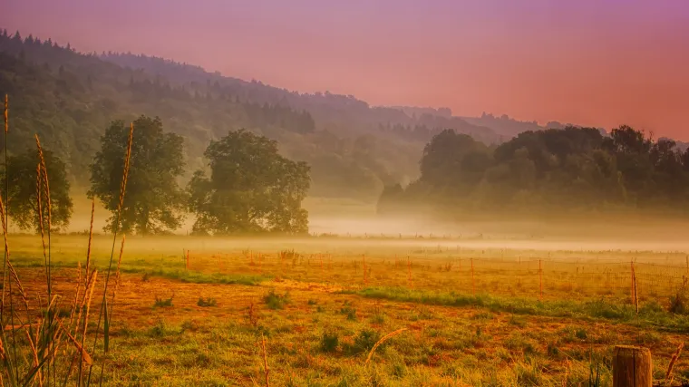 Znate li kakva su to laporasta tla i što na njima može rasti