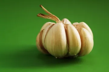 Znate li kako se priprema tlo za sadnju češnjaka