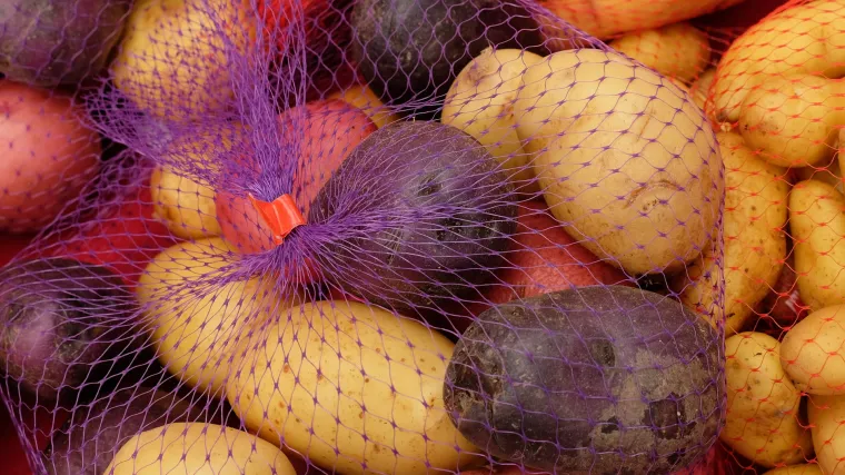 Koje kasne sorte krumpira postoje?