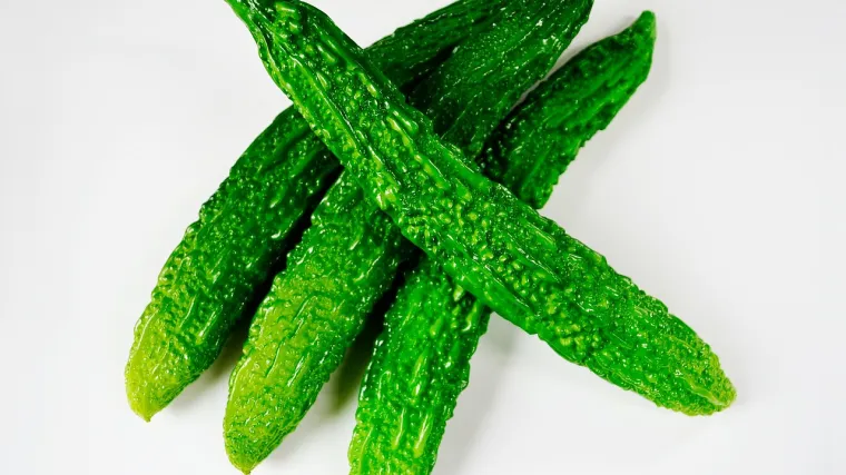 Gorka dinja - uzgoj gorke dinje