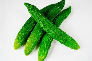 Gorka dinja - uzgoj gorke dinje