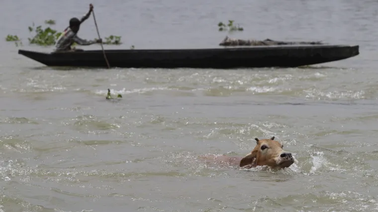 Užas u Indoneziji: U poplavama najmanje 17 poginulih i tisuće raseljenih