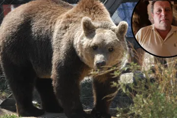 Macola zbog Mrkija i Brunde želi otvoriti vlastiti ZOO: 'Spasio sam te medvjede i vezan sam za njih'