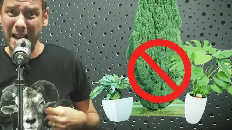 'Imam neki &scaron;krbav gen, ubija me svaki alergen': Iz radionice Luke Bulića stigla himna svih alergičara