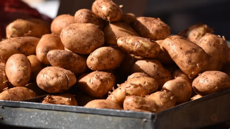 U ambalaži međimurskog prodaju egipatski krumpir! Vlasnik: 'Riječ je o sloganu tvrtke'