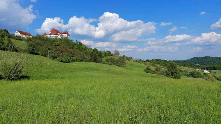 Poznati hrvatski fotograf prvi testirao kameru novog Huawei P30 lite pametnog telefona