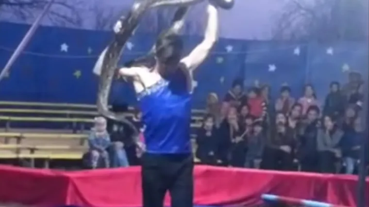 Stravični nastup u cirkusu: Zadavila ga zmija usred izvođenja točke