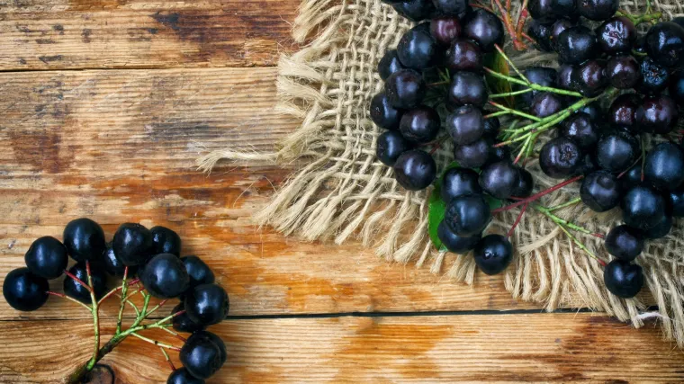 Ogrozd crveni kao riznica zdravlja