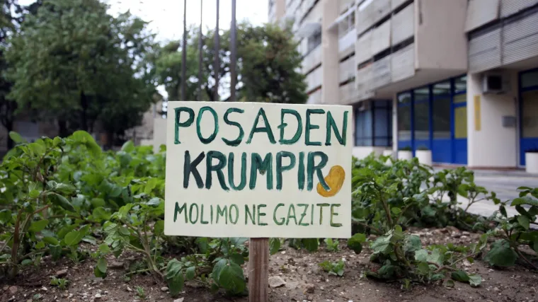 'Molimo ne gazite': Stanovnici ispred zgrade posadili - krumpire!