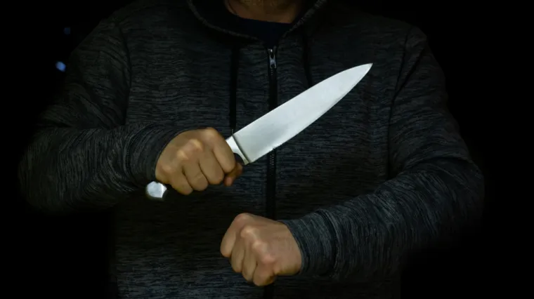 Hrvat u Austriji osuđen na doživotni zatvor, biv&scaron;u ubo nožem 68 puta: 'Ja se ničeg ne sjećam...'