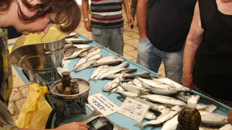 Nestanak plave ribe značio bi ekolo&scaron;ku i gospodarsku katastrofu: 'Dosta ljudi bi ostalo bez posla...'
