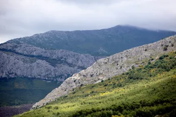 Koje su planine uz Jadransko more