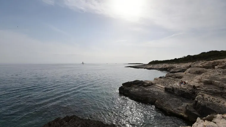 Znate li kakva je vegetacija Istre?