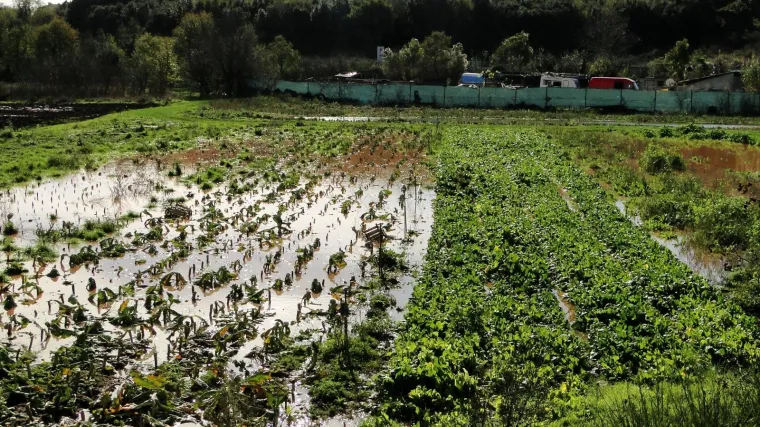 Poplave i ki&scaron;e stvorile velike probleme poljoprivrednicima, a već stiže nova opasnost za usjeve