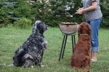 Ne dajte da vas slome te okice, razlog je strašno važan