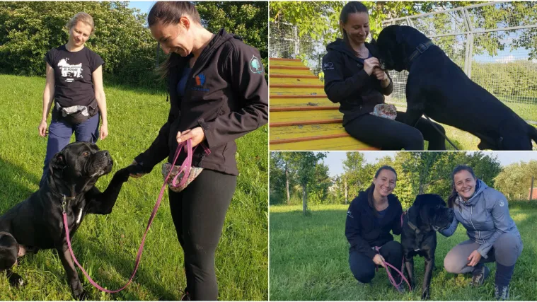 Otto opet odu&scaron;evljava: 'Prihvaća hranu od nepoznatih osoba, nije lo&scaron;e reagirao na dodire...'