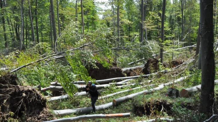 Obi&scaron;li smo razorenu Medvednicu: 'Glava nas boli od ovoga, gubici se broje u milijunima'