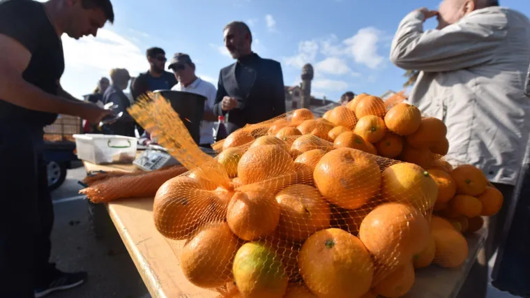 Vlada u borbi protiv voćne muhe: Proizvođačima mandarina potpore od 20 milijuna kuna