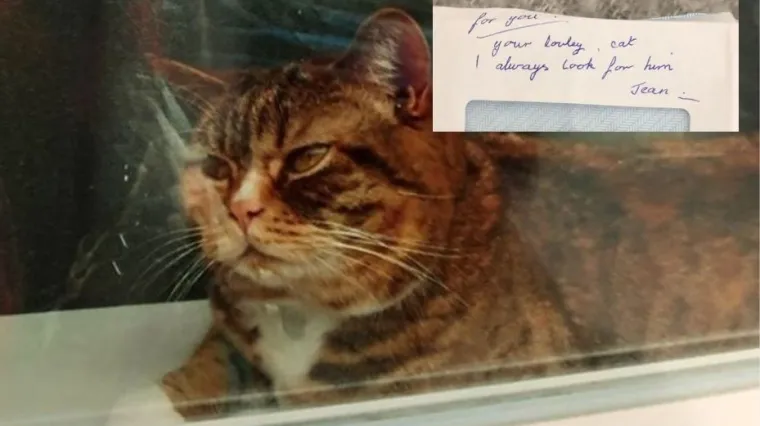 'Jutros sam ovo na&scaron;la u po&scaron;tanskom sandučiću...'