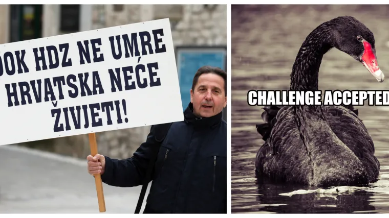 HDZ za poraz ne krivi ni masone, ni vladu, a ni Srbe, već crnog labuda