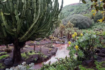 Kako je raspoređen suptropski pojas i kakav je njegov utjecaj